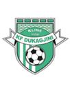 KF Dukagjini KF Dukagjini