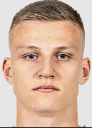 Redkovich D.