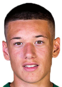 Redzic D.