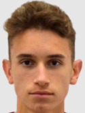 Mitrovic S.
