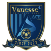 Sejong Vanesse FC