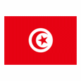 Tunisia U16<font color=#880000>(N)</font>